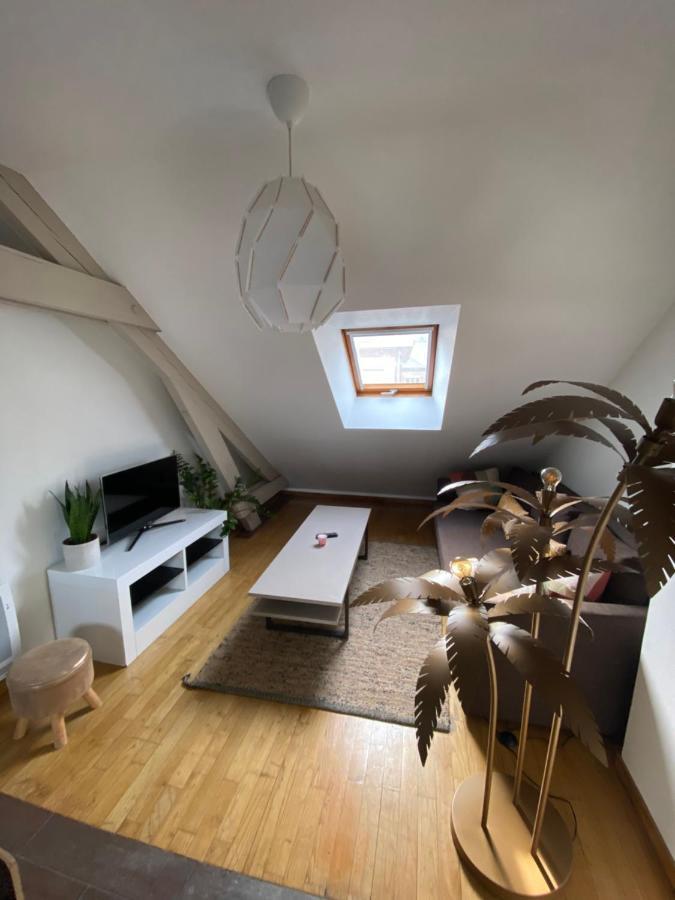 Appartement Hyper Centre Cathedrale Avec Parking Gratuit Amiens Ngoại thất bức ảnh
